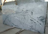 Grey Veins Natural Stone Slabs Płytki ścienne 2.95 High Granite Density