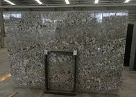 Precut Brazylia Bianco Antico Granit Slab, Szary Bianco Antico Granit Płytki