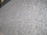 GranitE G383 Materiał Bianco Antico Granite Slab Grey Flower Pearl Colour